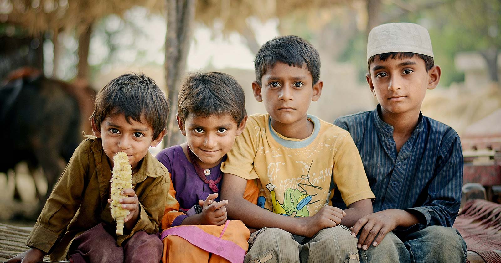 Children on a bench